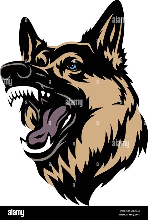 Aggressive German Shepherd Dog in Attack Stock Vector Image & Art - Alamy