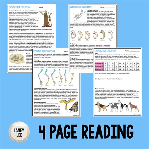 Evidence For Evolution Worksheet Key