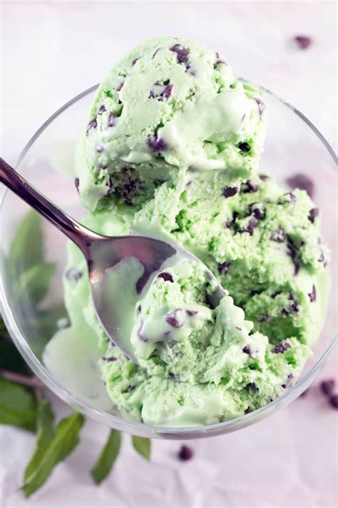 Mint Chocolate Chip Ice Cream | Bunsen Burner Bakery