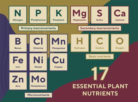 17 Essential Plant Nutrients - Basic and Macronutrients - Blackwing