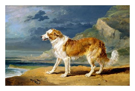 Dog Vintage Art Paintings Free Stock Photo - Public Domain Pictures