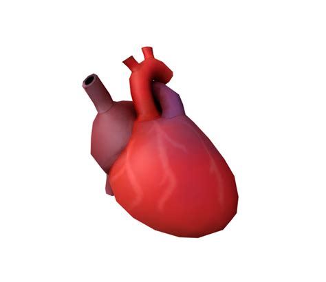 PC / Computer - Surgeon Simulator - Heart - The Models Resource