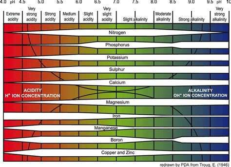 Understanding Hydroponic Nutrient Solutions : Do You Understand ...