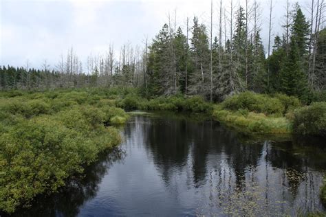 Headwaters Wilderness | Natural Atlas