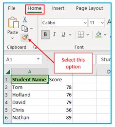 How to use Format Painter in Excel?