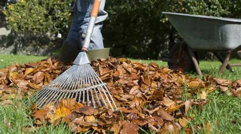 When is The Best Time to buy a Lawn Mower - Vacuumist