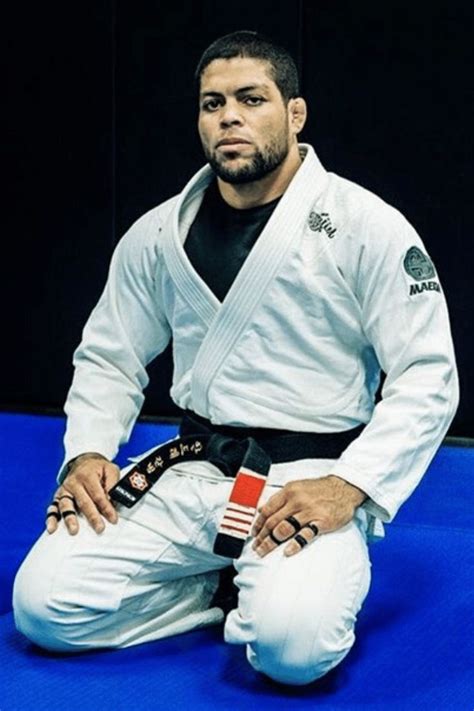 Andre Galvao BJJ fighting Hero | Andre galvao, Bjj, Jiu jitsu fighter