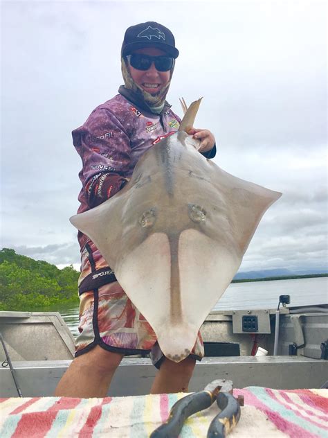 Shovelnose Shark : r/Fishing