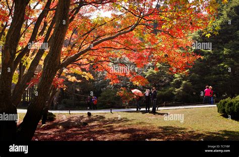 On Mount Lushan Stock Photo - Alamy