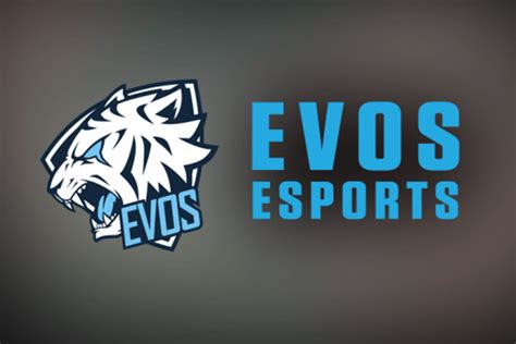 EVOS Jadi Tim E-sports Paling Populer di Asia Tenggara