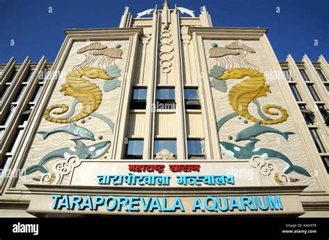 taraporewala aquarium, marine lines, mumbai, maharashtra, India, Asia ...