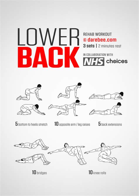 Best Bodyweight Back Exercises and Workout Routines