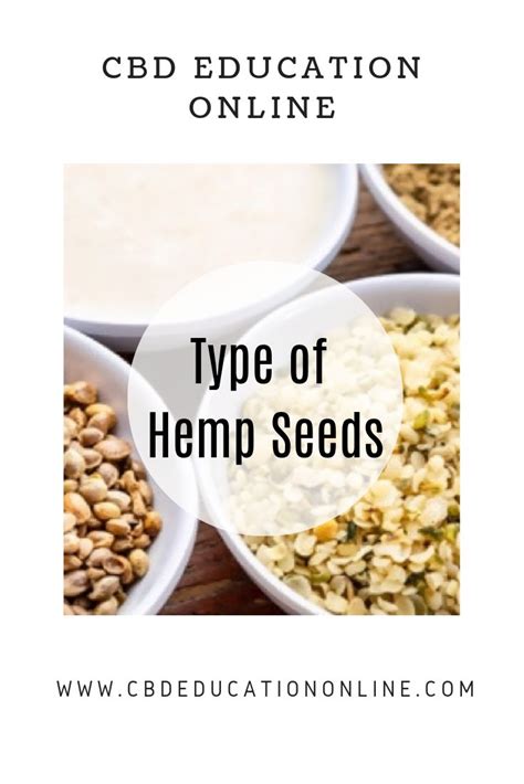 10 Best Hemp Seed Recipes & Baking Tips - [Updated 2019] | Hemp seed recipes, Hemp seeds, Recipes