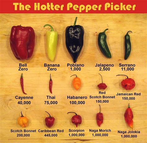 The Scoville Scale Of Hotness Stuffed Peppers, Stuffed Hot Peppers ...