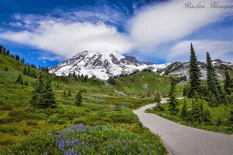 ENTERING PARADISE : Mount Rainier National Park