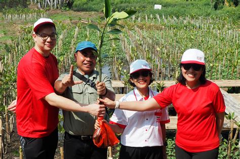 Yayasan WINGS Peduli Tanam Ratusan Pohon Mangrove dalam Program Aksi Hijau # ...