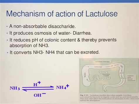 Lactulose Mechanism Of Action