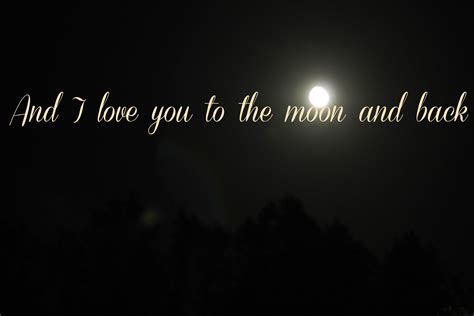 Love Moon Quotes. QuotesGram