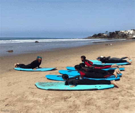 Malibu Makos Surf Lessons Near Me GIF - Malibu Makos Surf Lessons Near Me - Discover & Share GIFs