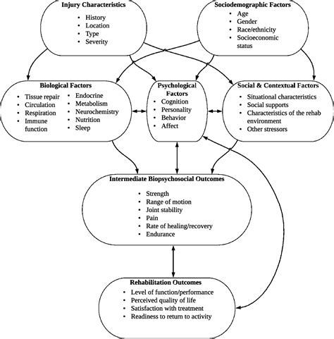 [PDF] The Biopsychosocial Model: Application to Occupational Therapy Practice | Semantic Scholar