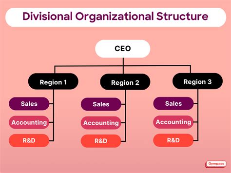 What is a Divisional Structure? Advantages, Types & Examples | Gympass