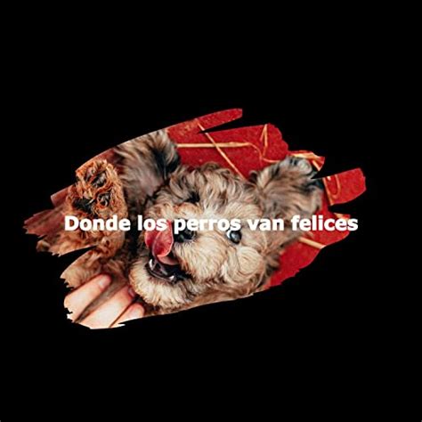 Play Donde los perros van felices by Dinner Jazz Playlist & Music for Cooking on Amazon Music