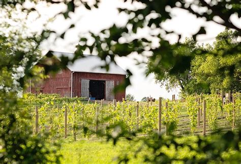 Stoney Ridge Vineyards - Michigan Wine Country