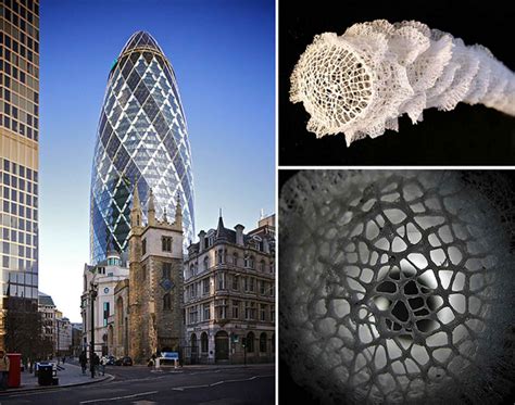 Gherkin Tower - Exterior/Nature Influences - modlar.com