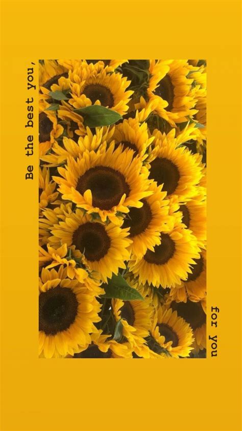 Yellow Aesthetic Sunflowers Hd Wallpapers (1080p, 4k) - Aesthetic ...