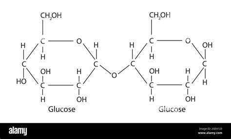 Chemical Structure of Maltose, Anatomy Of Maltose, Molecular structure ...