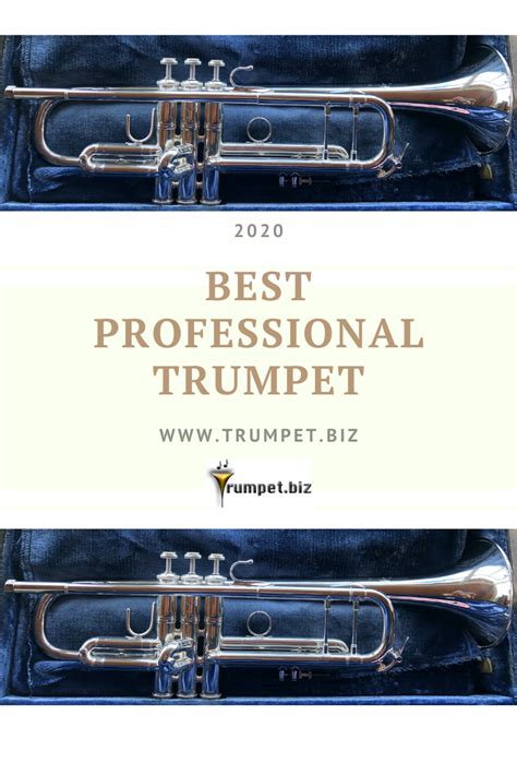 Best Professional Trumpets of 2020. Looking to upgrade? All the best ...