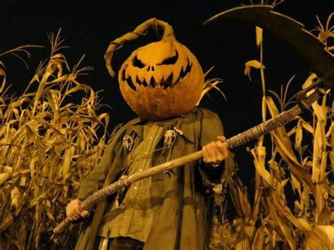 pumpkinrot scarecrows - Google Search | Halloween haunt, Scarecrow, Halloween projects