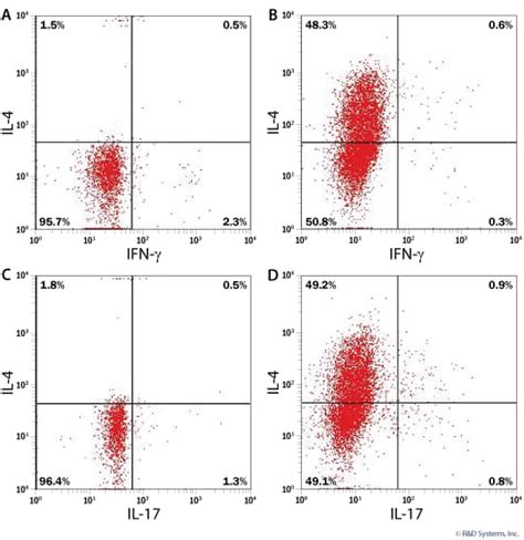 CellXVivo Mouse Th2 Cell Differentiation Kit (CDK019) | Bio-Techne