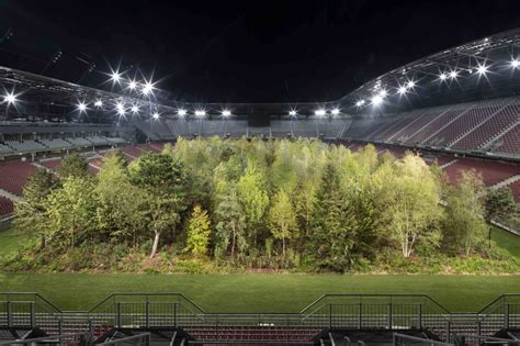 Forest in a Football Stadium — Pop-Up City