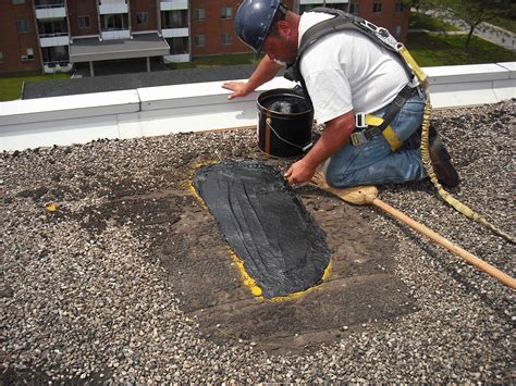 Flat Roof Repairs: 5 Reasons To Address Roofing Issues Promptly ...