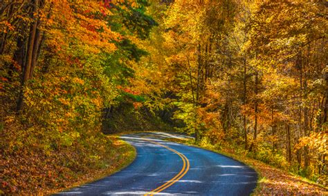 Why It's Worth Visiting Asheville, NC in Fall | Going Places