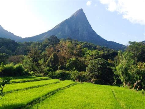 Village Bound Nature Experience In Meemure | Sri Lanka Tailor-made