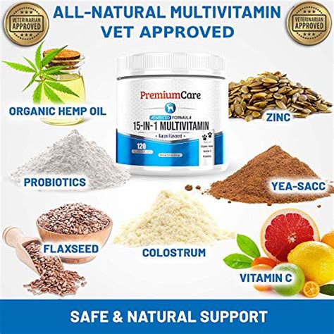 Premium Care 15-in-1 Dog Multivitamin Chews - Dog Vitamins and Supplements with Vitamin C ...