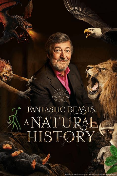 神奇动物：一段自然历史 1080p Fantastic Beasts: A Natural History (2022) 英语中文字幕 | 歲月留聲