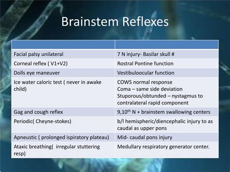 PPT - Traumatic Brain Injury PowerPoint Presentation, free download - ID:439874