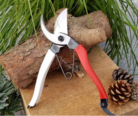 Japanese Garden Tools | Niwaki Tools | Architectural Plants