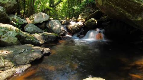 Canon Timelapse Cairns Tropical Rainforest Fresh Water Creek - YouTube