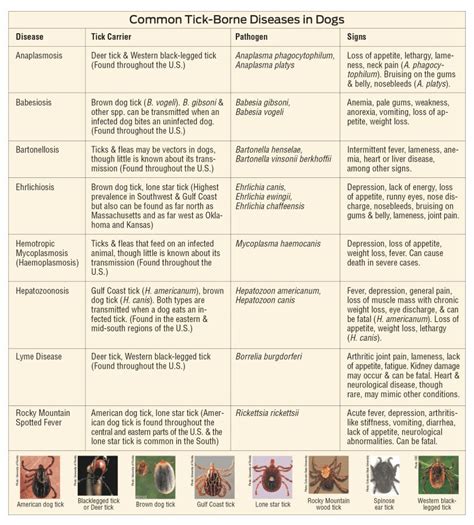 Common Tick-Borne Diseases