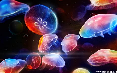 Animated Jellyfish Wallpaper - WallpaperSafari