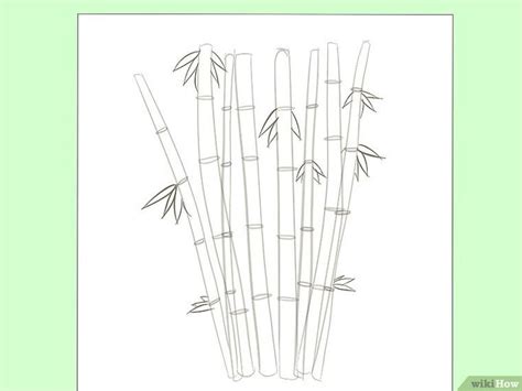 How to Draw Bamboo: 8 Steps (with Pictures) - wikiHow | Bamboo drawing, Drawings, Plant drawing