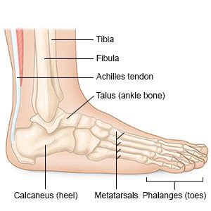 Ankle Arthrotomy - What You Need to Know