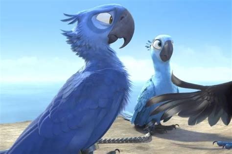 Rare parrot from hit animated film Rio is on the brink of extinction - News Need News