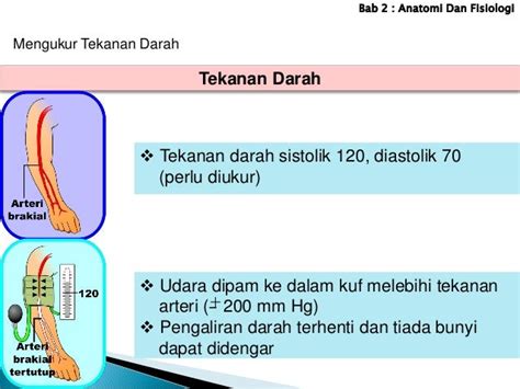 4 mengukur tekanan darah