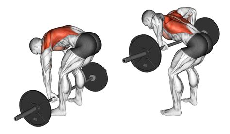 6 Best Types of Barbell Row Variations (with Pictures!) - Inspire US