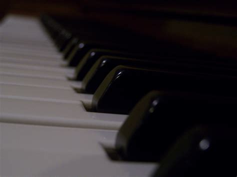 Free Images : technology, monochrome, musical instrument, close up, pianist, string instrument ...